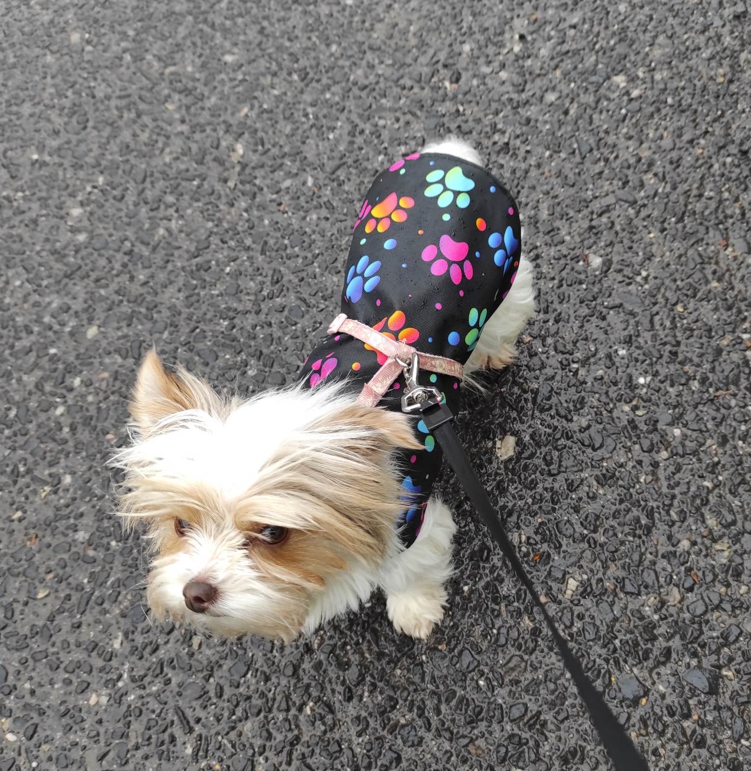 Kabátek/pláštěnka