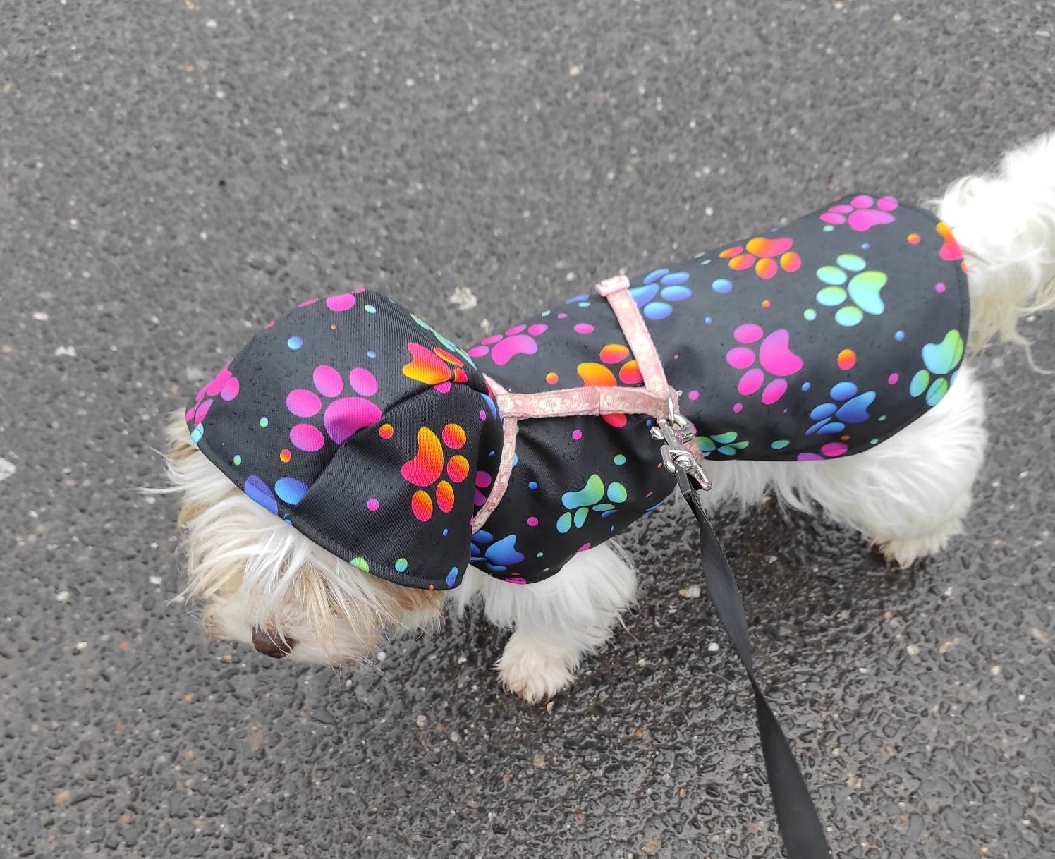 Kabátek/pláštěnka s kapucou