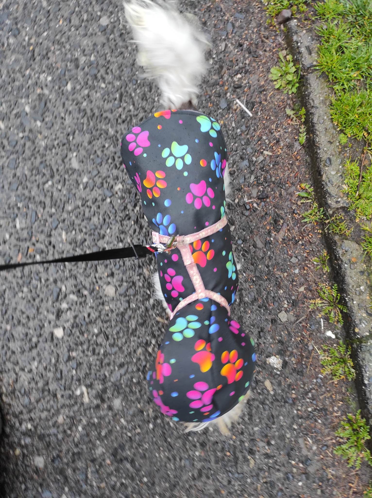 Kabátek/pláštěnka s kapucou