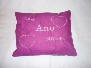 Dnes ANO, dnes NE